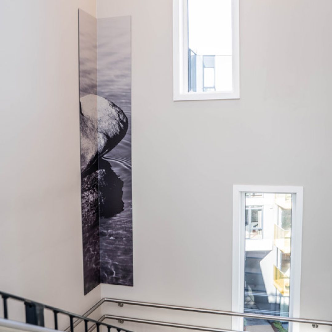 4B09BCA7-E346-447C-AC8F-ADE08183BF8D