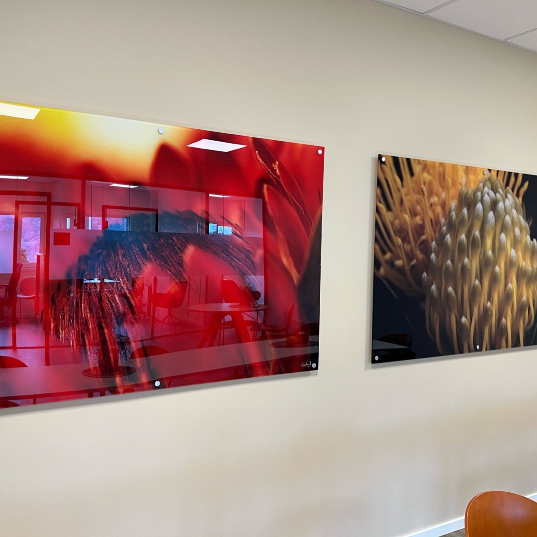 67362DC5-91C3-4D9F-B861-9334EFCD5B71